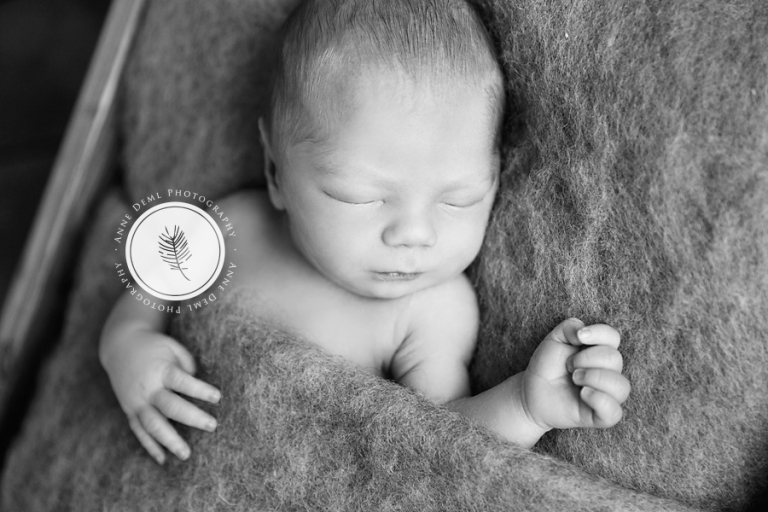 neugeborenenfotografie_im_fotostudio_niedliche_babybilder_babyfotograf_anne_deml_muenchen_freising_ingolstadt_augsburg_hebamme_krankenhaus_geburt_leo_2