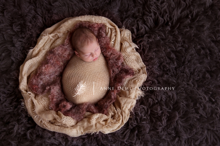 babyshooting_freising_anne_deml_fotostudio_babyfotografie_muenchen_professionell_baby_geburt_hebamme_victoria_13
