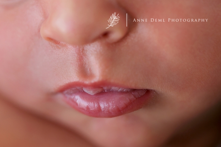 niedliche_babyfotos_augsburg_neugeborene_hebamme_muenchen_anne_deml_fotostudio_babyfotograf_freising_carl_04